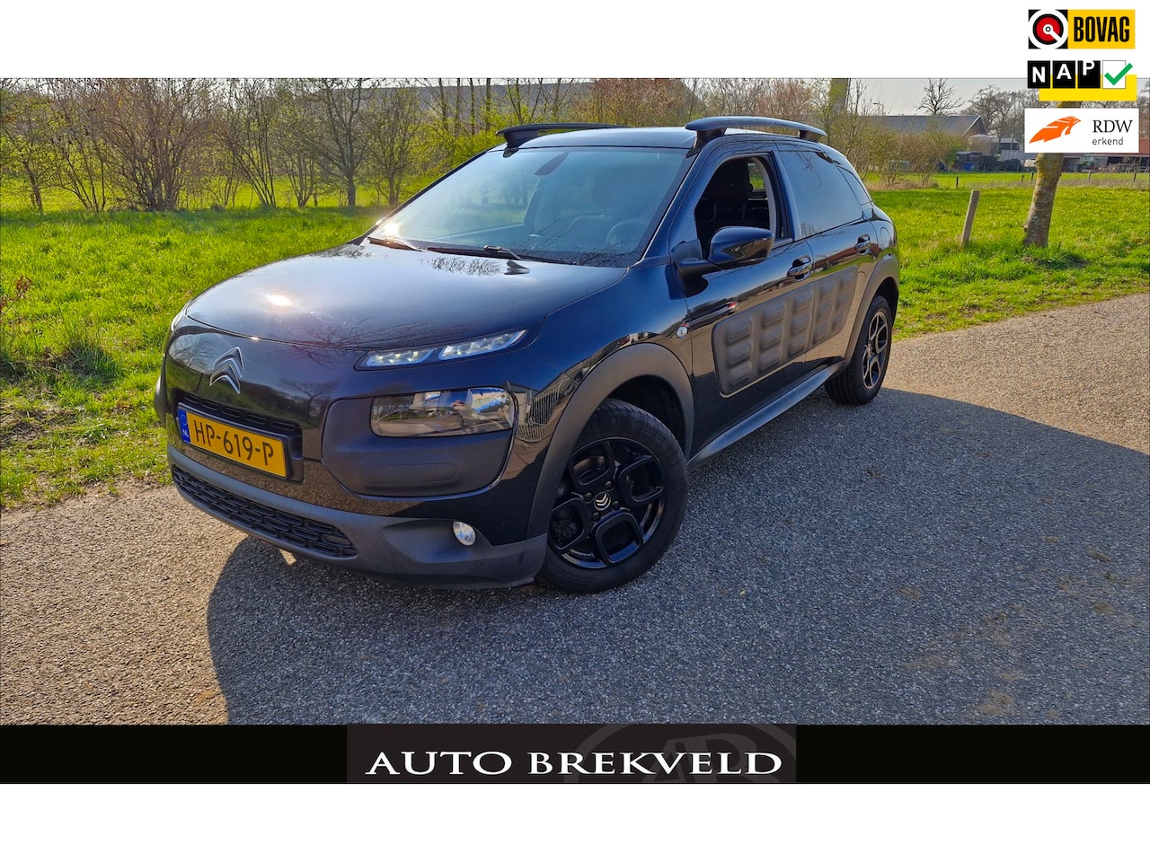 Citroën C4 Cactus - 1.2 PureTech Shine 110PK | Rijklaarprijs | Camera | Clima | Pano | LMV | Navi | NAP - AutoWereld.nl