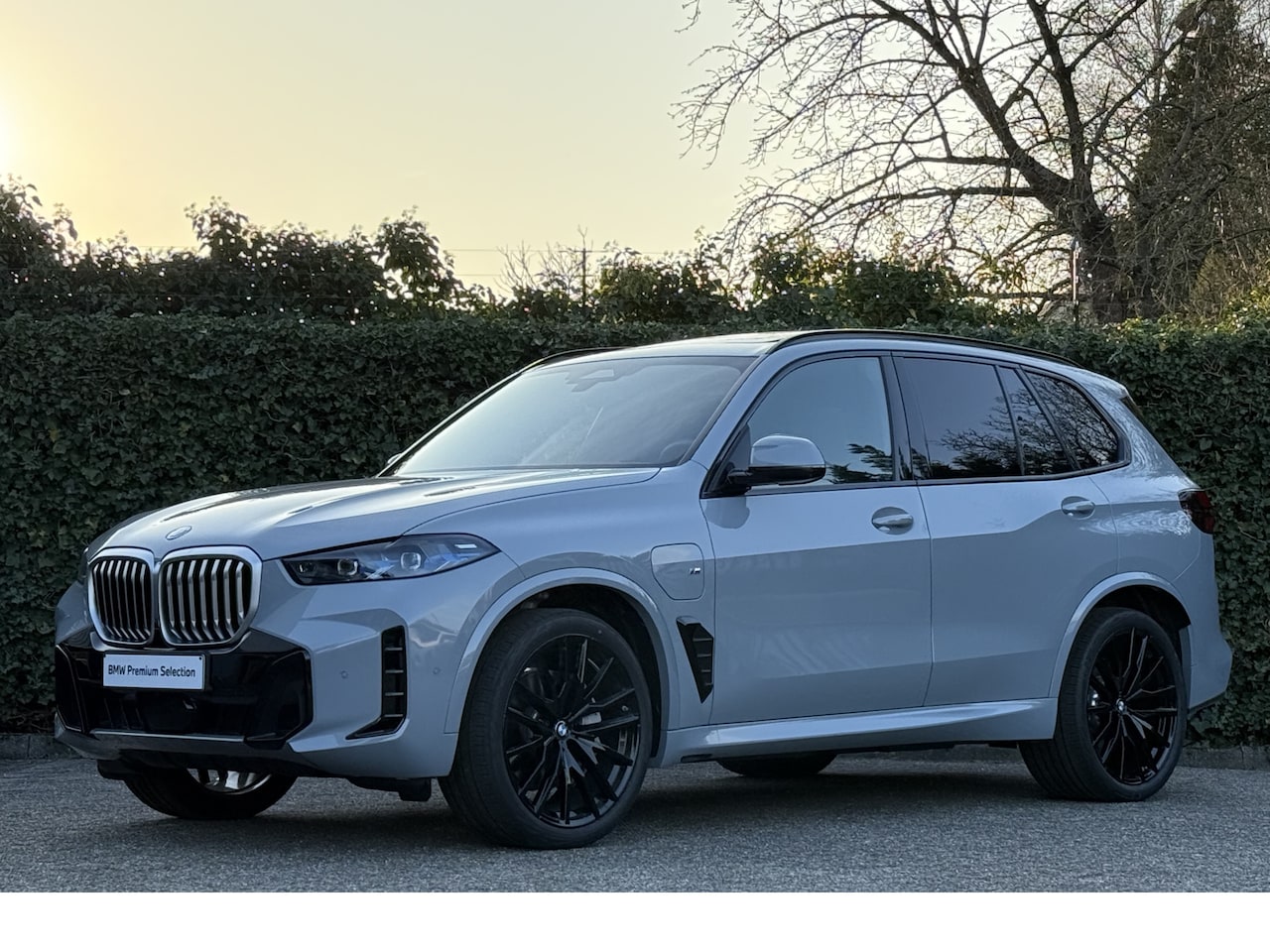 BMW X5 - xDrive50e | M-Sport | 22" | Stoelverw. + ventilatie | Panorama. | Swarovski elementen | 36 - AutoWereld.nl