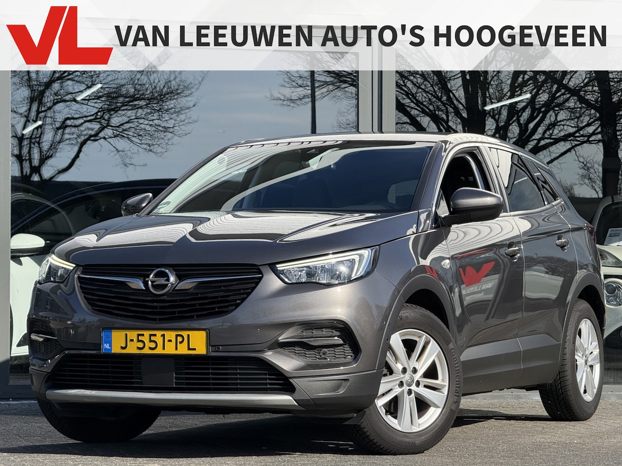 Opel Grandland X - 1.2 Turbo Business Executive | Trekhaak | Volle auto! | RIJKLAAR - AutoWereld.nl