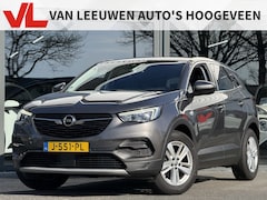 Opel Grandland X - 1.2 Turbo Business Executive | Trekhaak | Volle auto | RIJKLAAR