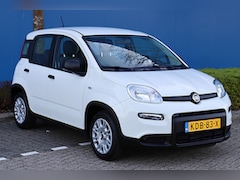Fiat Panda - 1.0 Hybrid City