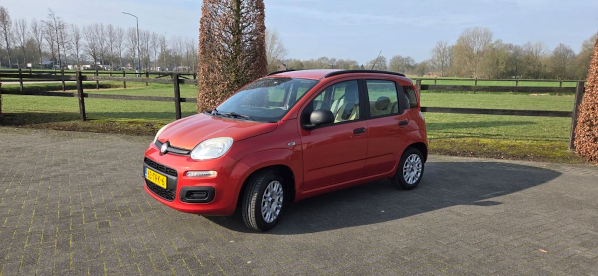 Fiat Panda - 0.9 TwinAir Easy NL auto zeer netjes AIRCO 1e eigenaar - AutoWereld.nl