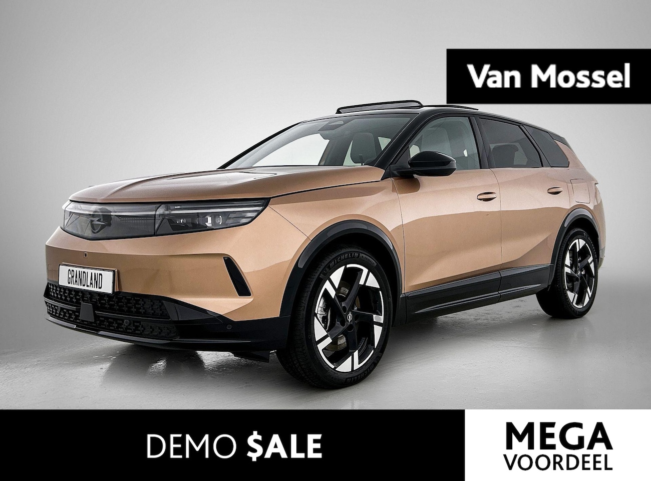 Opel Grandland Electric - GS 73 kWh DEMO sale - AutoWereld.nl