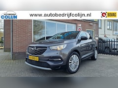 Opel Grandland X - 1.2 Turbo Business Executive, Pano, Navigatie, NL Auto