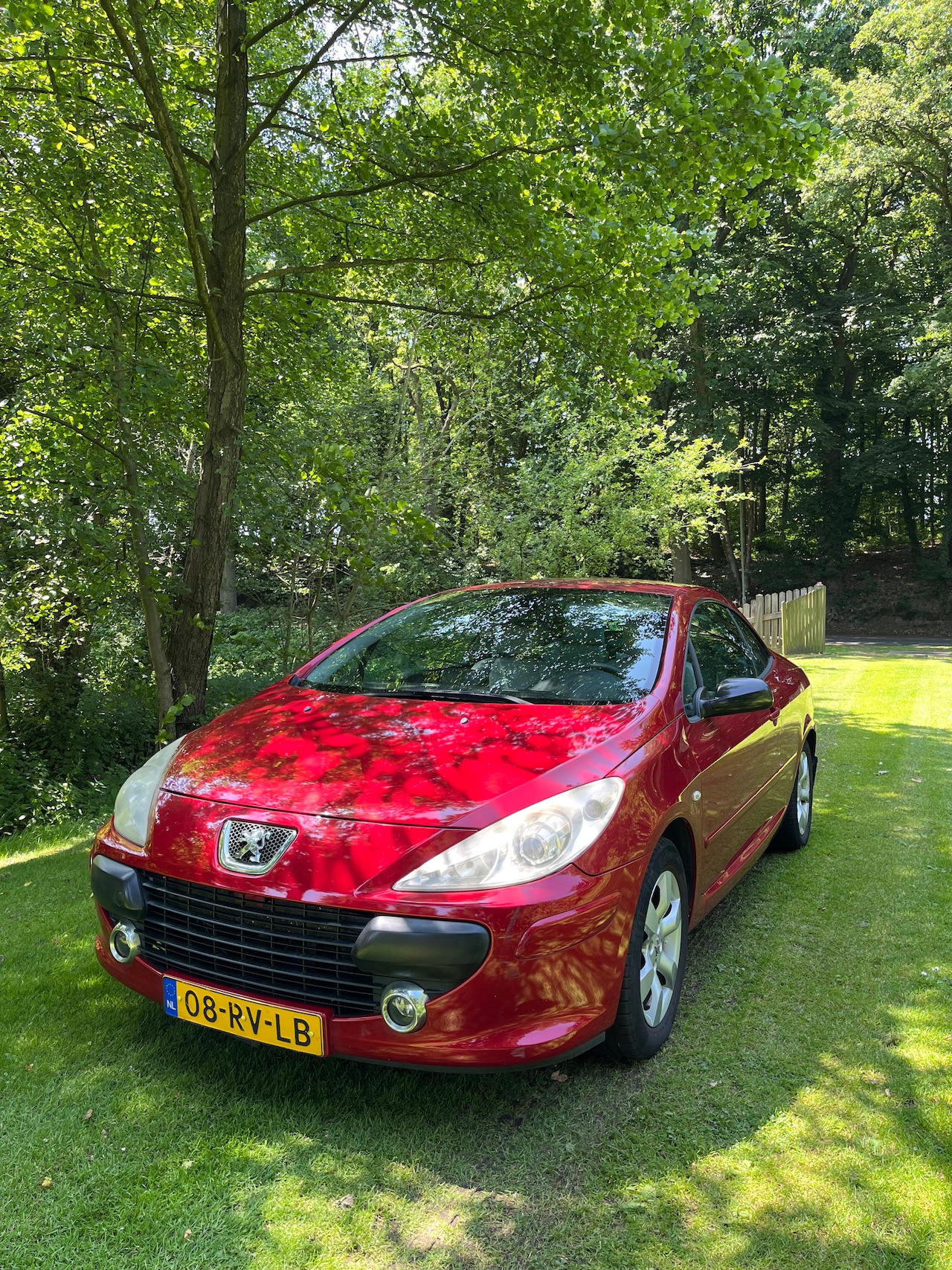 Peugeot 307 CC - 2.0-16V - AutoWereld.nl