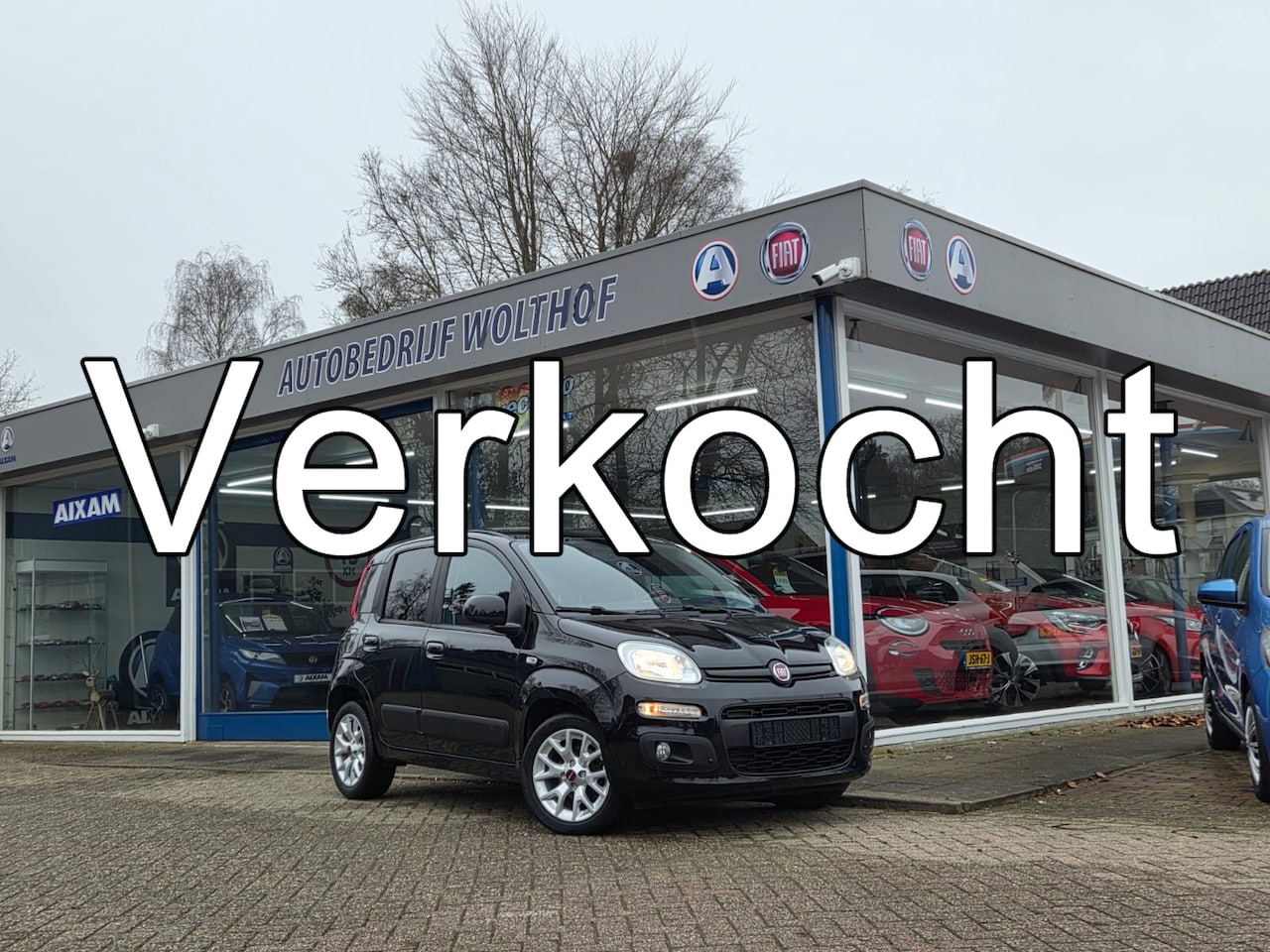 Fiat Panda - 1.2 Lounge 1.2 Lounge - AutoWereld.nl
