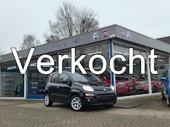 Fiat Panda - 1.2 Lounge