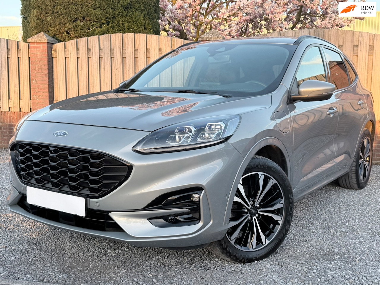 Ford Kuga - 2.5 PHEV ST-Line E-STOELEN NAVI ECC STOELSTUUR VERWARMING HALFLEER ALCANTARA - AutoWereld.nl