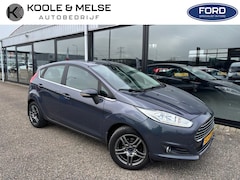 Ford Fiesta - 1.0 EcoBoost 100PK 5D S/S Titanium, winterpakket