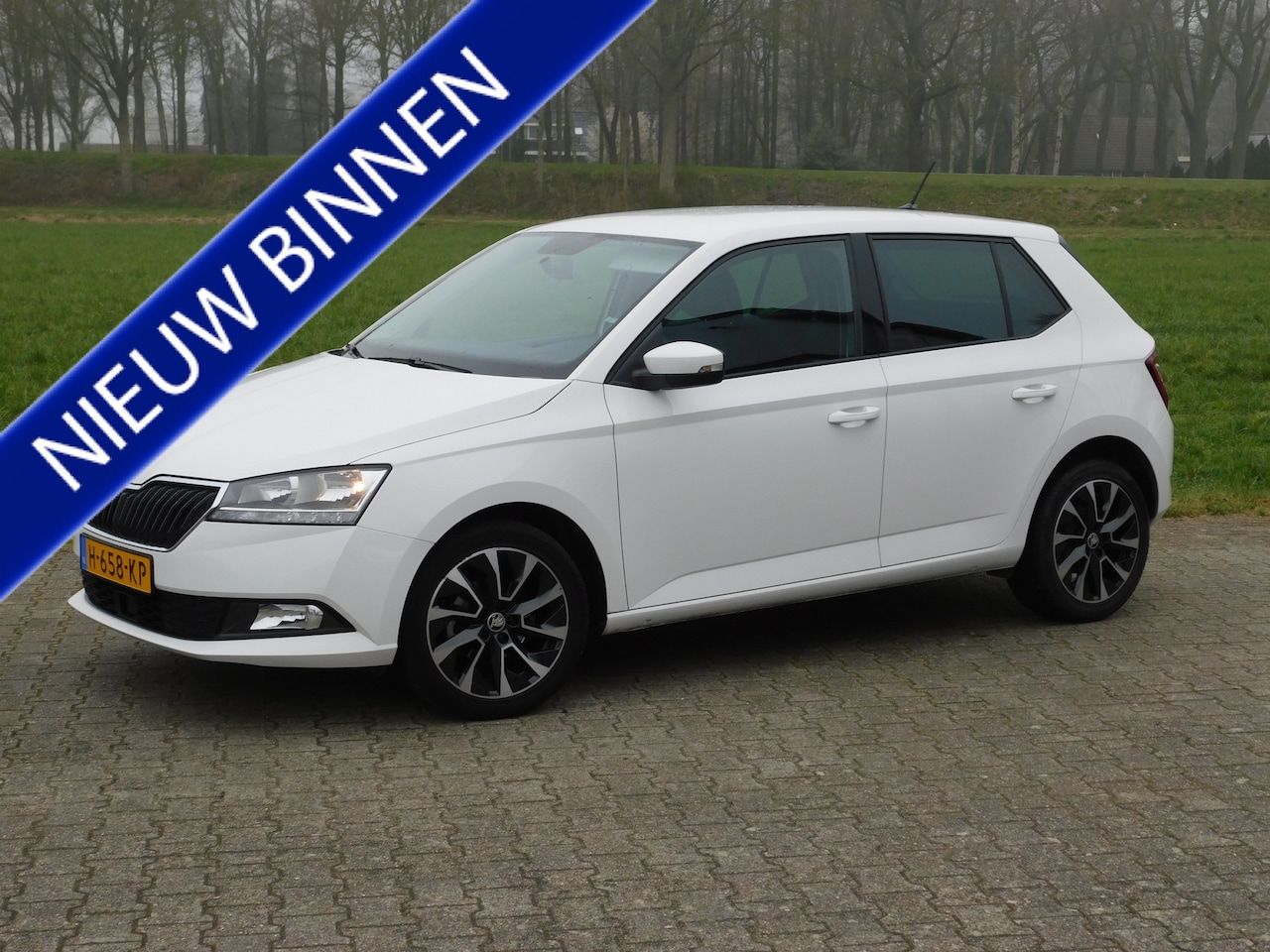 Skoda Fabia - 1.0 TSI Business Edition 1.0 TSI Business Edition, Carplay, Pdc, Trekhaak - AutoWereld.nl