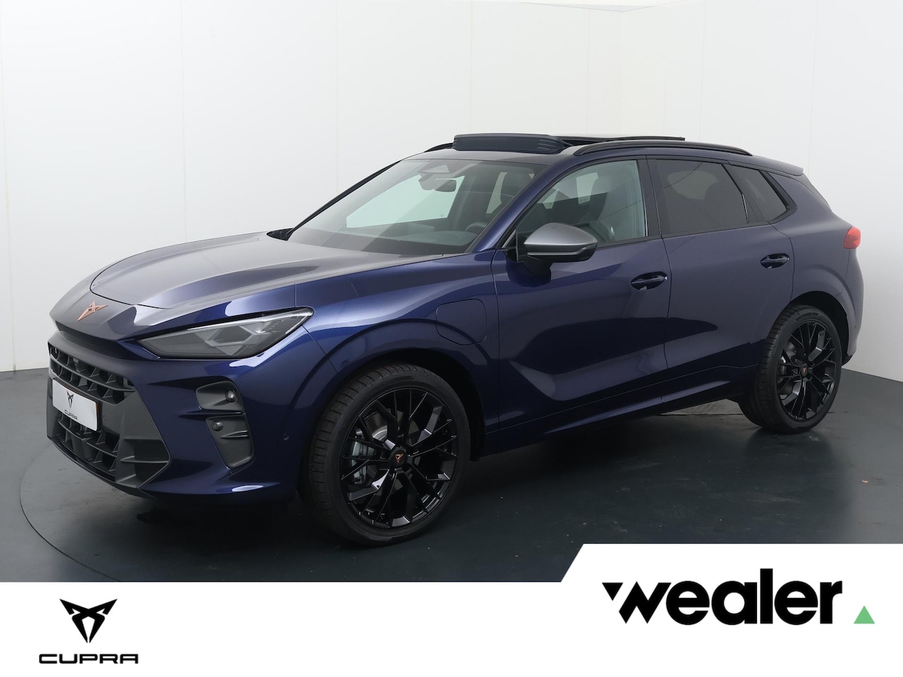 CUPRA Terramar - 1.5 TSI e-Hybrid Business Panorama schuifkanteldak, Moon light dinamica interieur, 20 inch - AutoWereld.nl