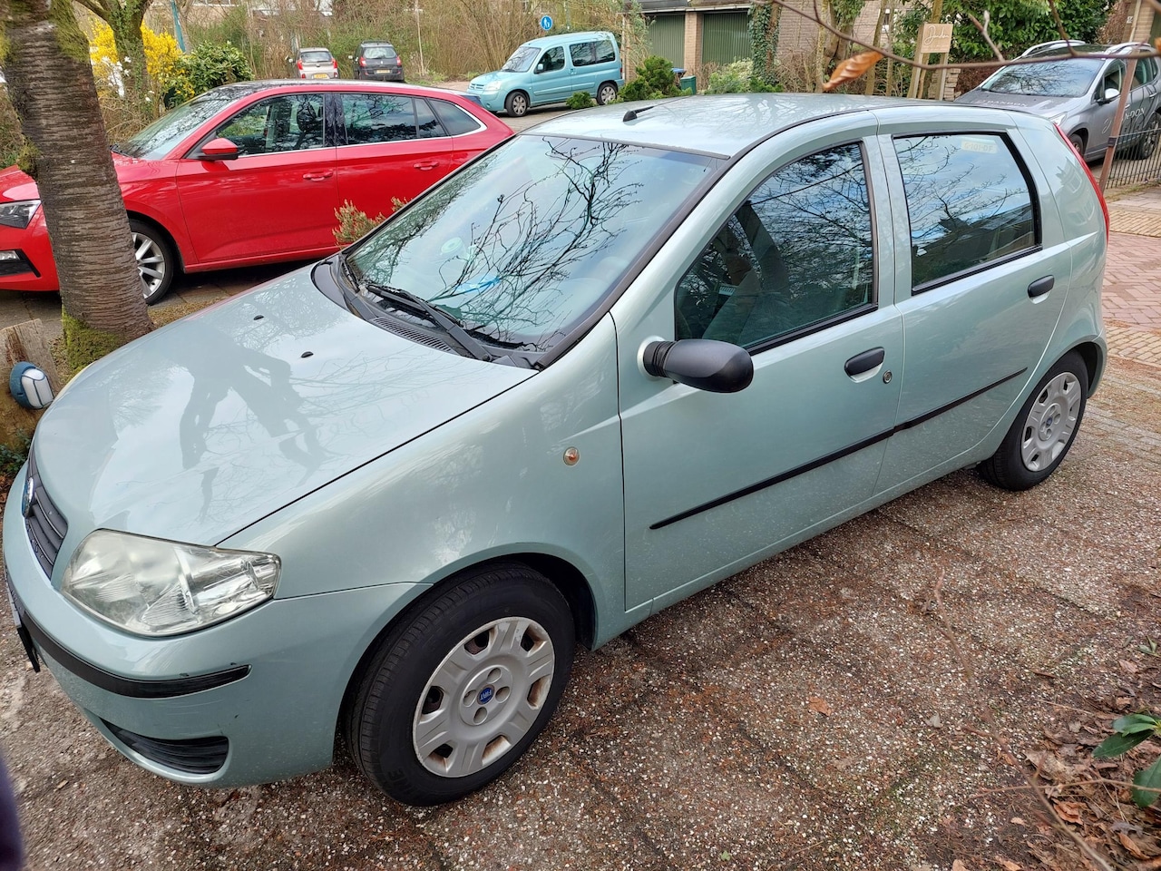 Fiat Punto - 1.2 Dynamic - AutoWereld.nl