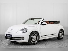 Volkswagen Beetle Cabriolet - 1.2 TSI Trend BlueMotion CUP Edition