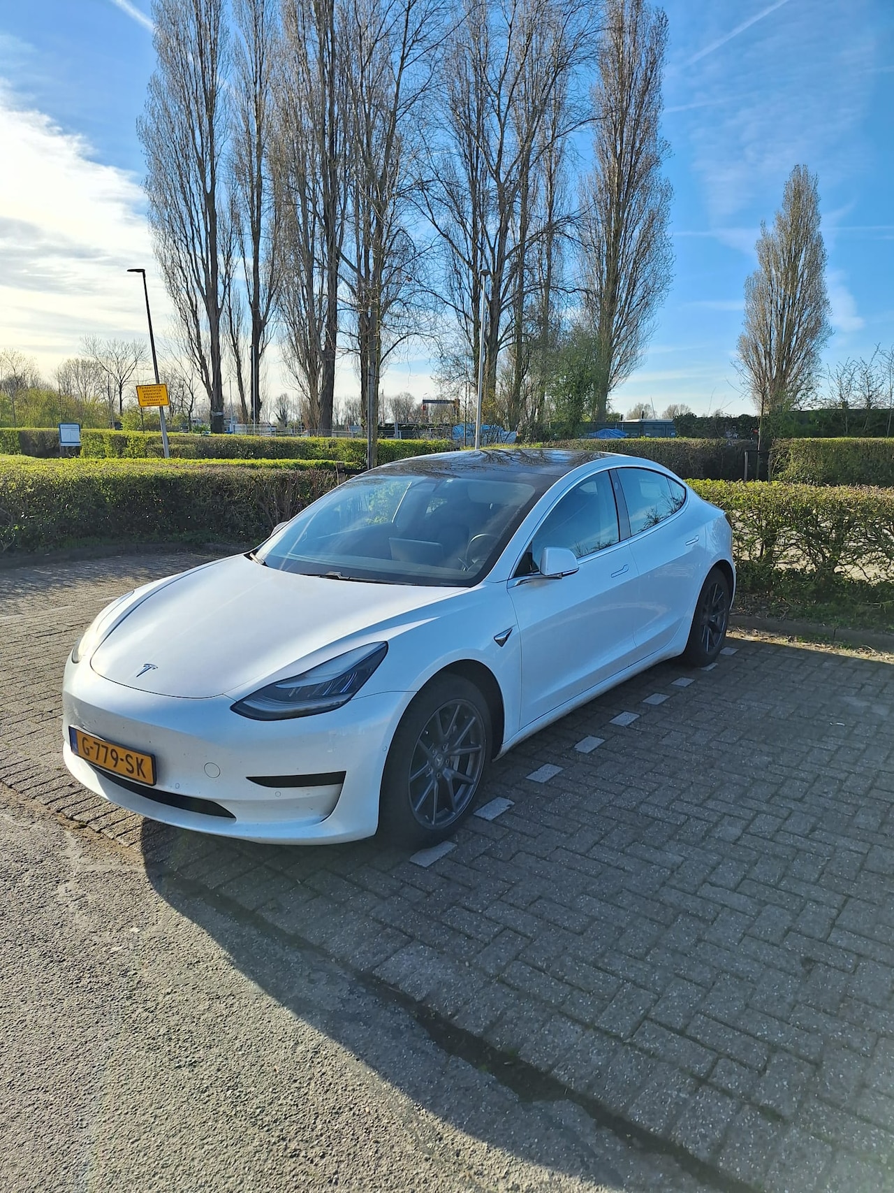 Tesla Model 3 - Standard RWD Plus - AutoWereld.nl