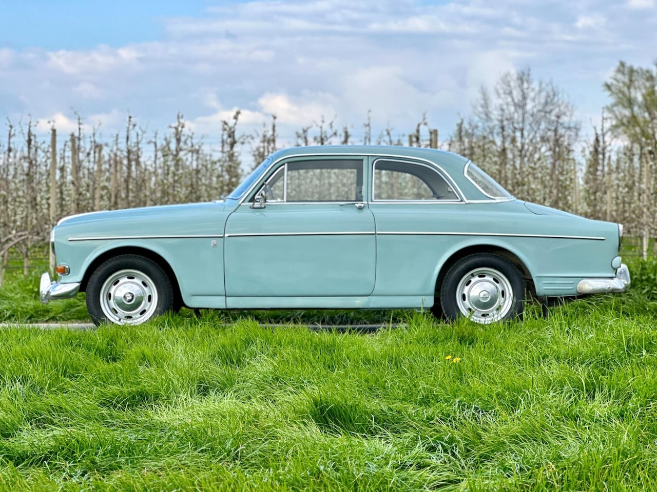 Volvo Amazon - LPG, originele kleur, verbreedde stalen velgen. - AutoWereld.nl