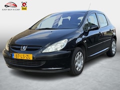 Peugeot 307 - 1.6-16V XT / Cruise control / Comfort-Pack / Nieuwe APK / Nieuw onderhoud uitgevoerd / NAP