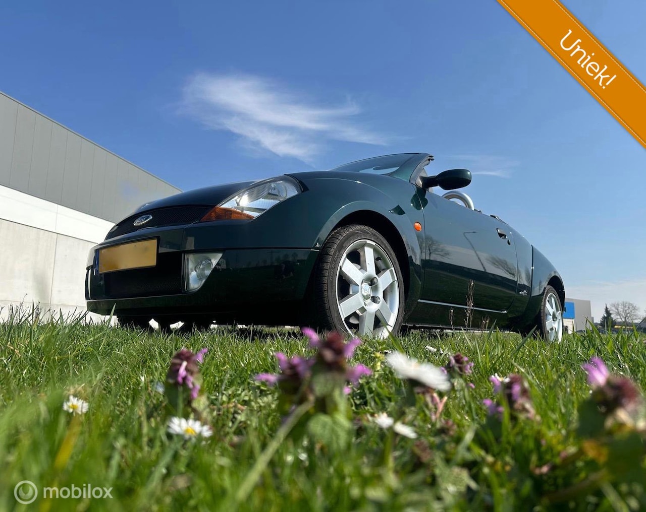 Ford Streetka - 1.6 CABRIO AIRCO 103620 KM - AutoWereld.nl