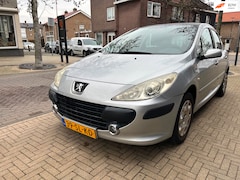 Peugeot 307 - 1.6-16V XS