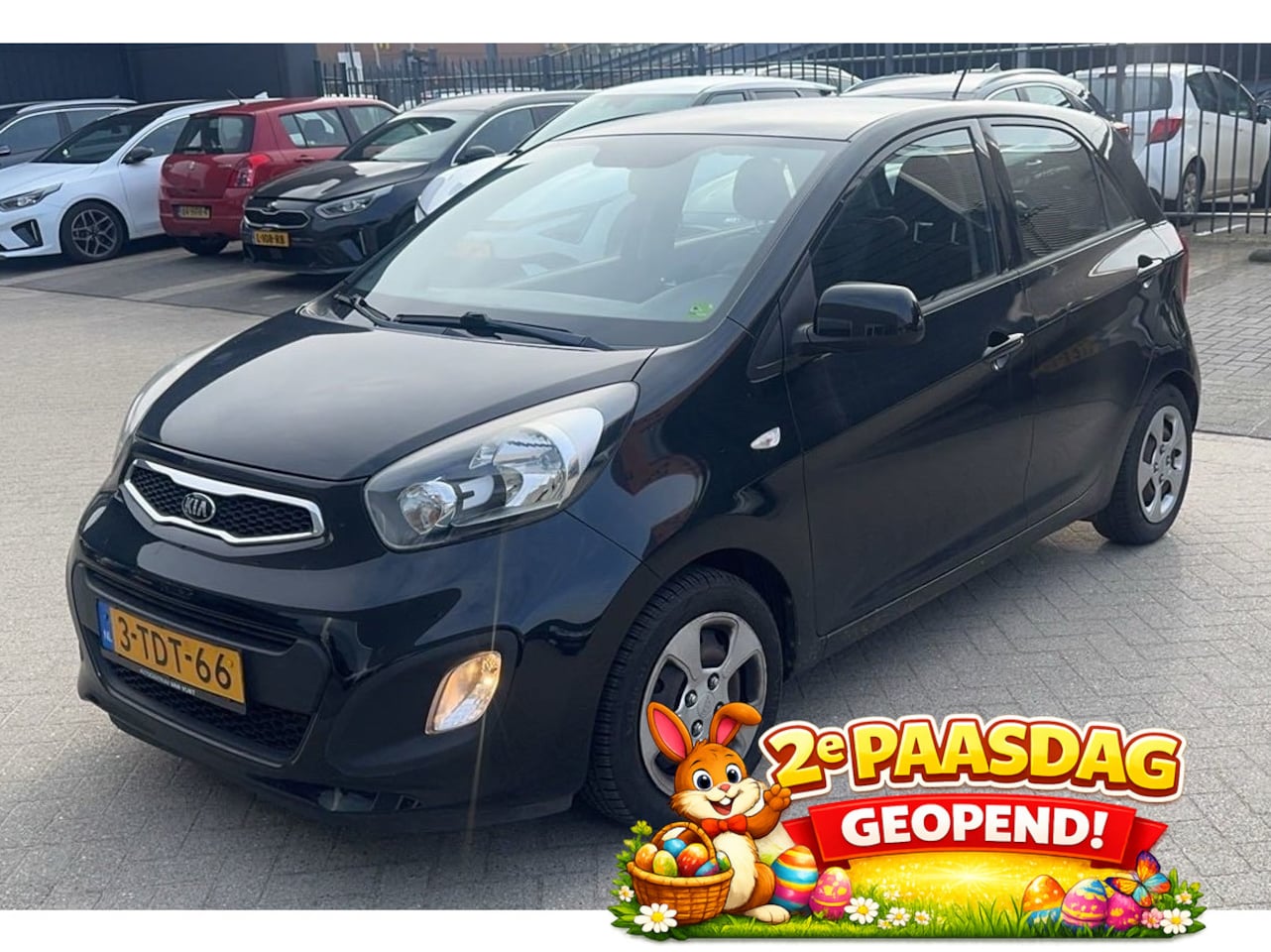 Kia Picanto - 1.0 CVVT ISG 5 deurs Comfort Pack | VAN 1e EIG | - AutoWereld.nl