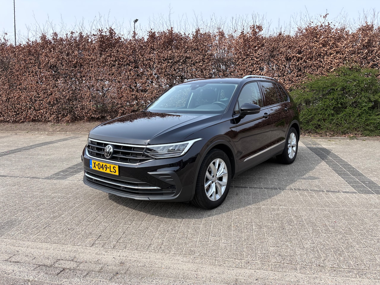 Volkswagen Tiguan - 1.5 TSI Life Business - AutoWereld.nl