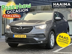 Opel Grandland X - 1.2 Turbo Business Executive | Parkeersensoren | Apple Carplay/Android Auto | Climate Cont