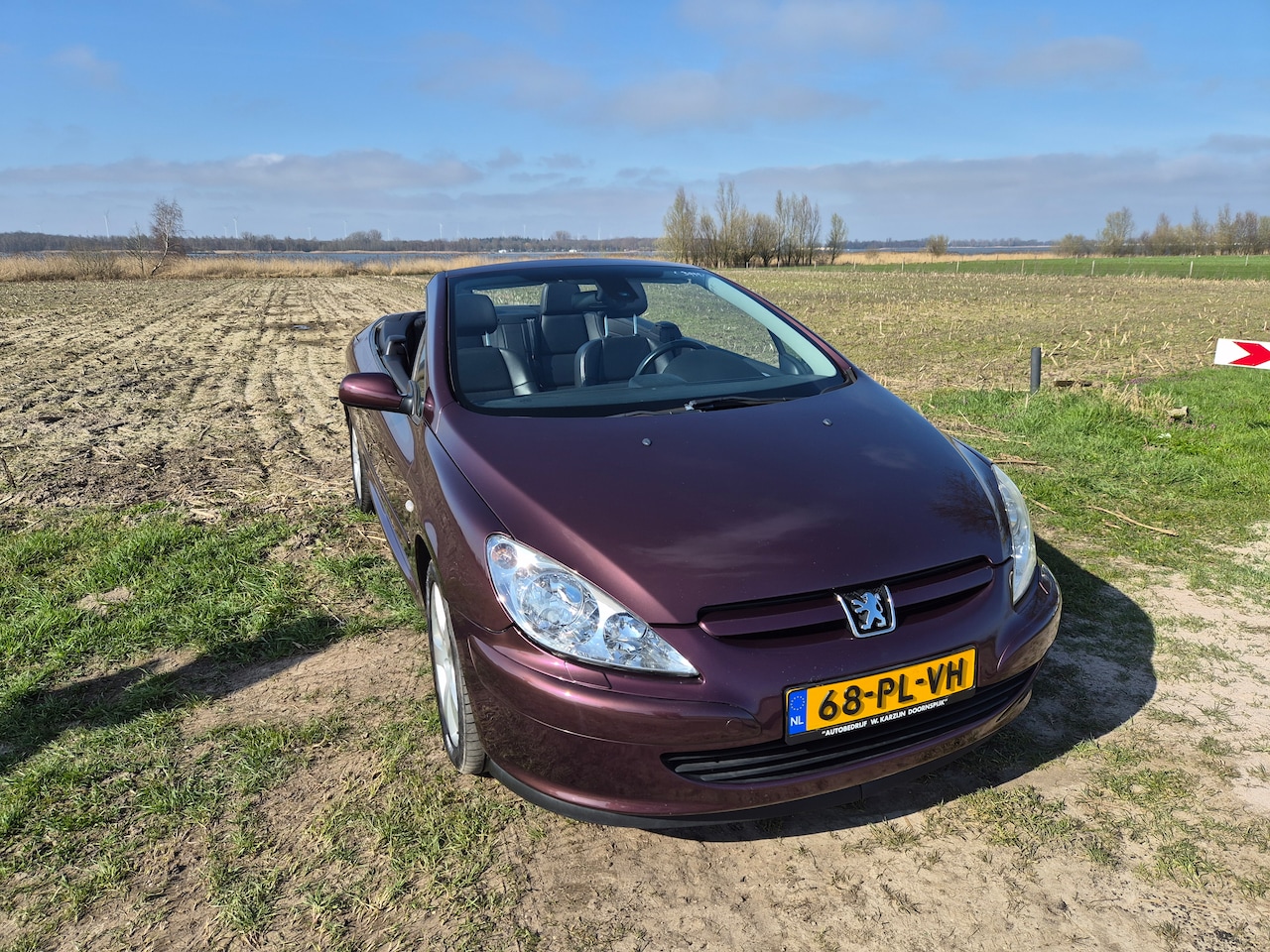 Peugeot 307 CC - 2.0-16V - AutoWereld.nl
