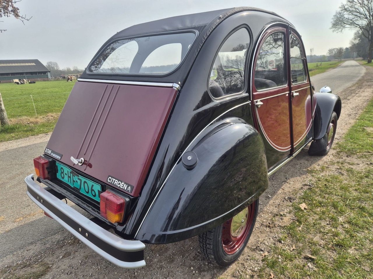 Citroën 2CV - 2CV6 Charleston 2CV6 Charleston - AutoWereld.nl