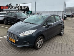 Ford Fiesta - 1.0 EcoBoost Titanium airco LM 4-deurs org NL