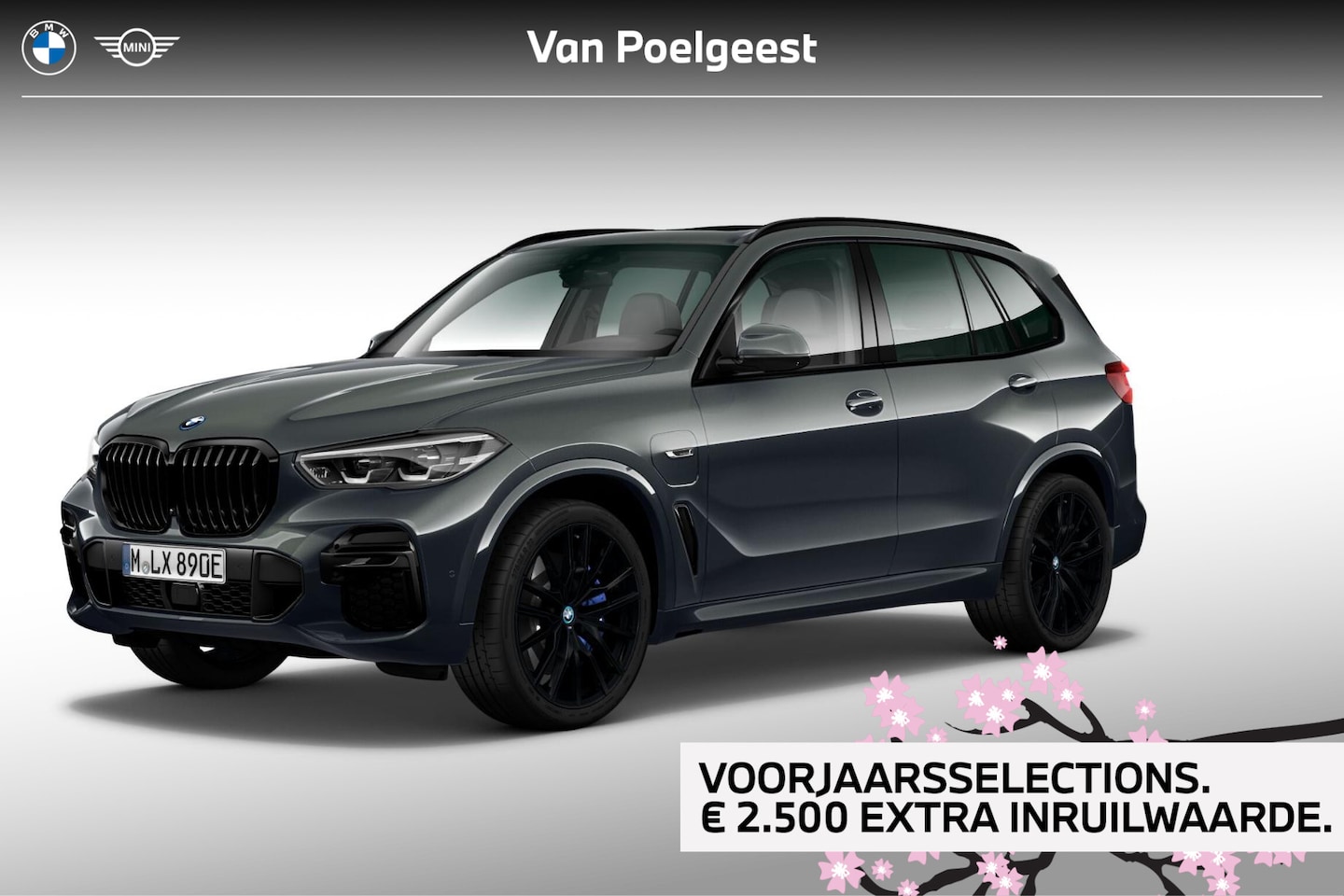 BMW X5 - xDrive45e | High Executive | M Sport | Panoramadak | Selections 2500 - AutoWereld.nl