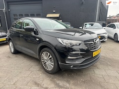 Opel Grandland X - 1.2 Turbo Business Edition|Navi|360 Camera