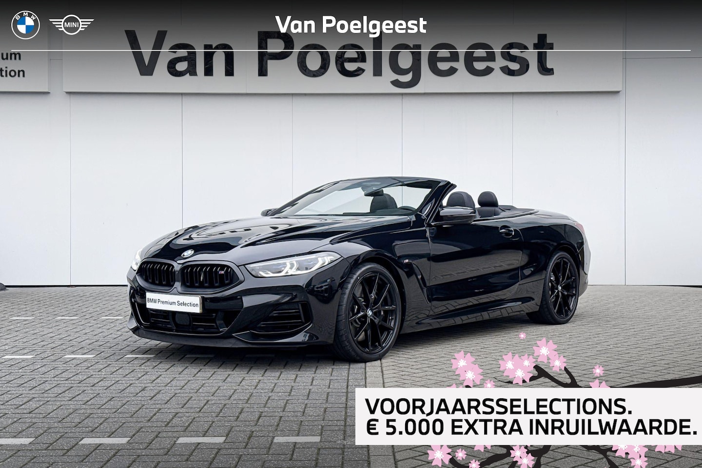 BMW 8-serie - Cabrio M850i xDrive CoPilot Pack | Integral Active Steering | Selections 5000 - AutoWereld.nl