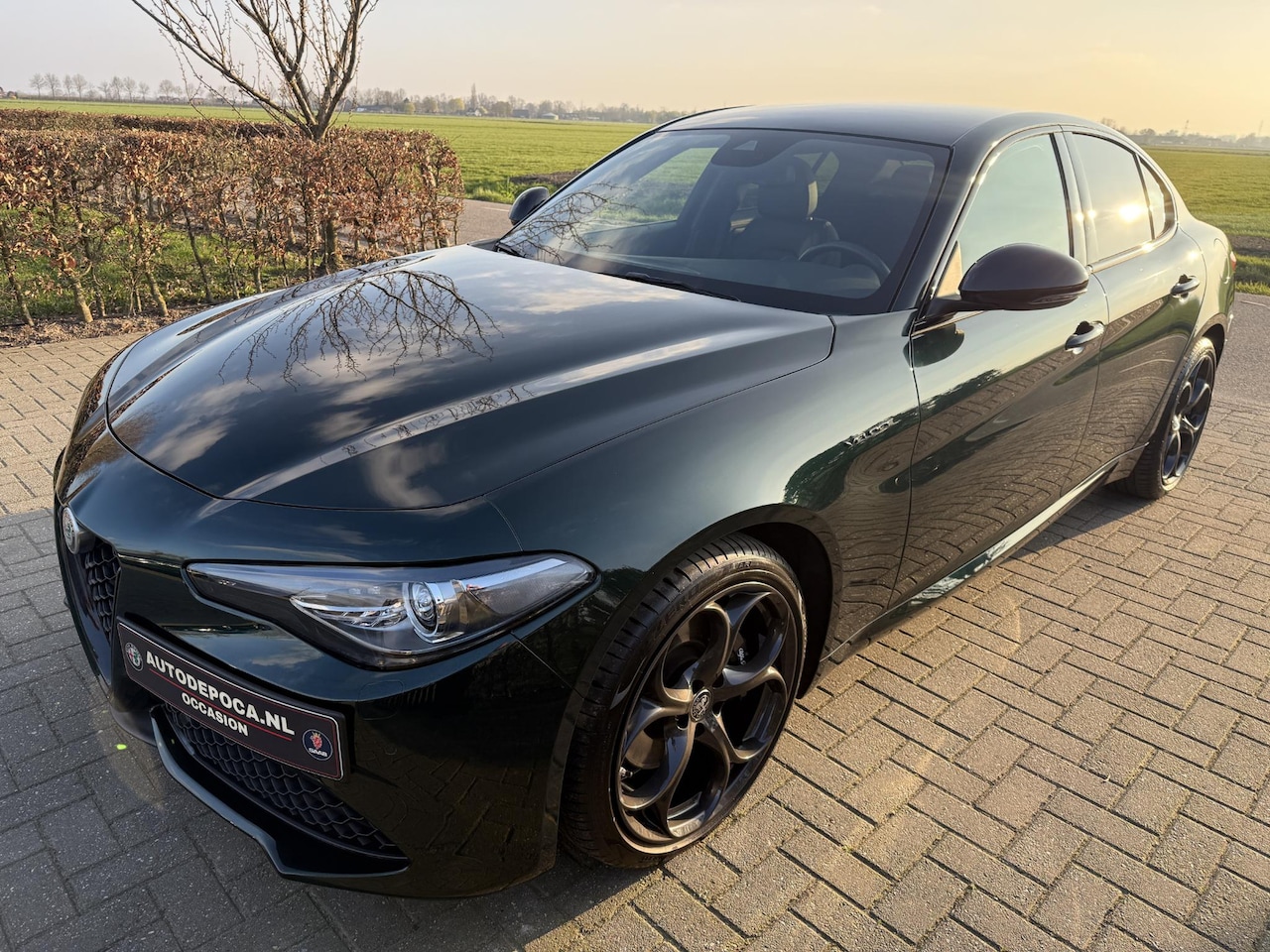 Alfa Romeo Giulia - 2.0 T Veloce VERDE VISCONTI!! ♥️ - AutoWereld.nl