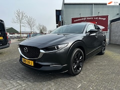 Mazda CX-30 - 2.0 e-SkyActiv-X M Hybrid AWD Nagisa