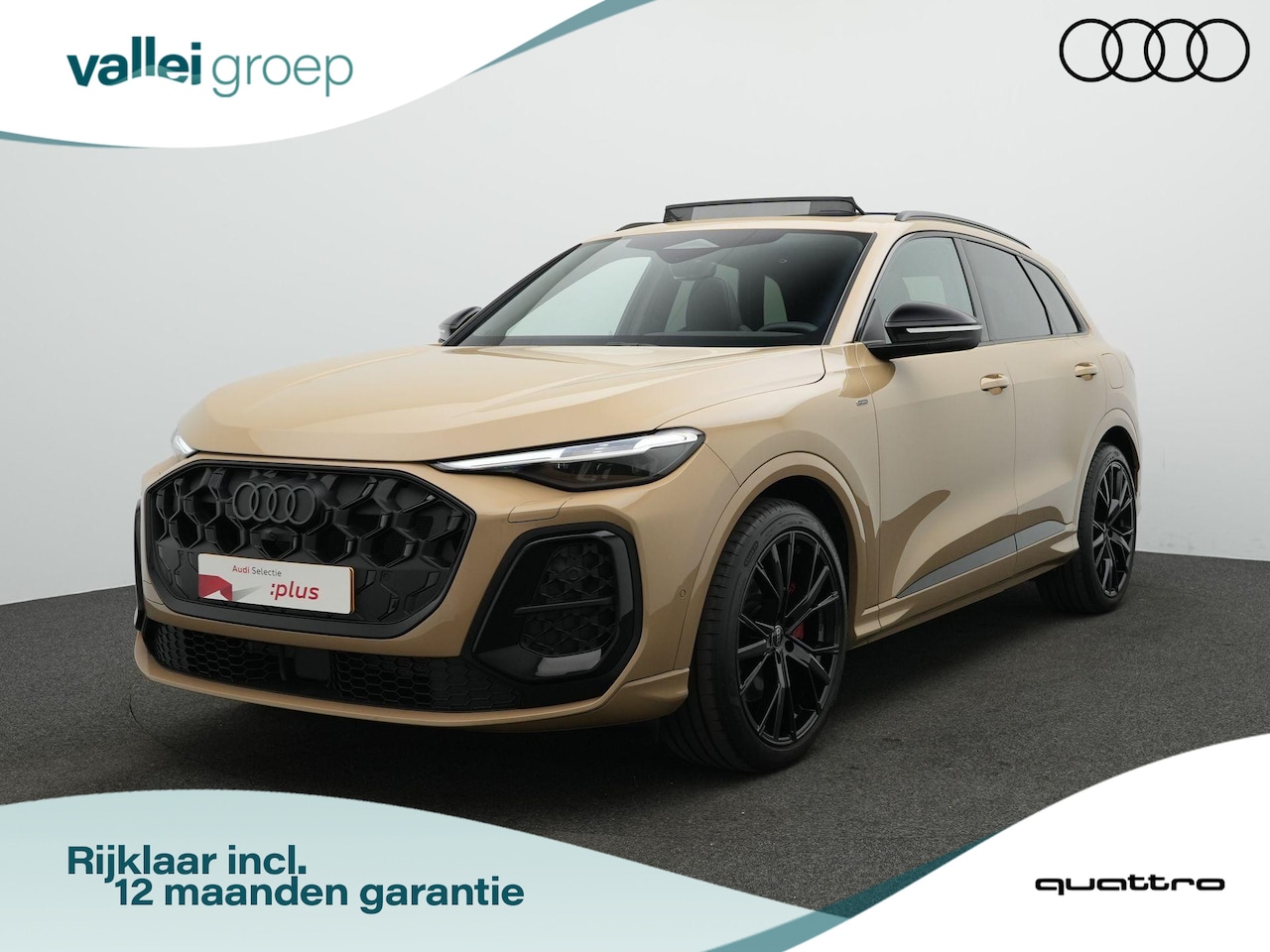 Audi Q5 - 2.0 TFSI e-hybrid Quattro S edition Competition / S-Line | Panoramadak | Trekhaak | Luchtv - AutoWereld.nl