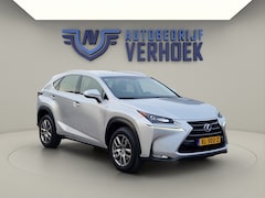 Lexus NX - 300h AWD Business Line Navi - Camera