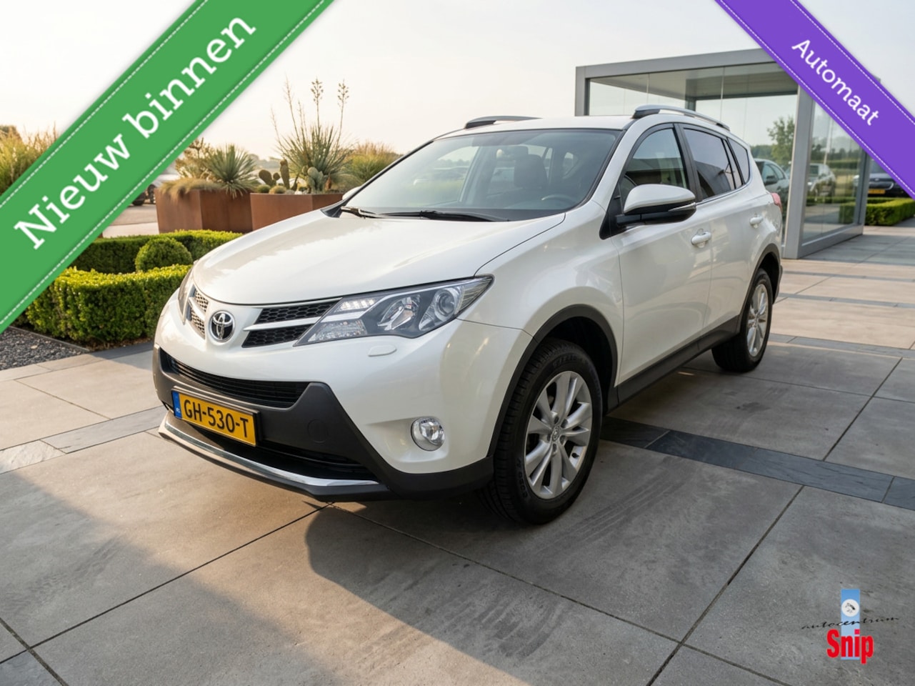 Toyota RAV4 - 2.0 Executive Business 4WD 2.0 Executive Business 4WD - AutoWereld.nl