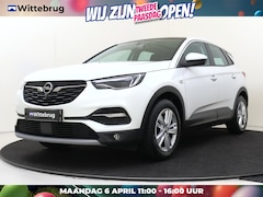 Opel Grandland X - 1.2 Turbo 130PK Business Elegance Automaat Automaat | Camera | Parkeerhulp | Apple Carplay