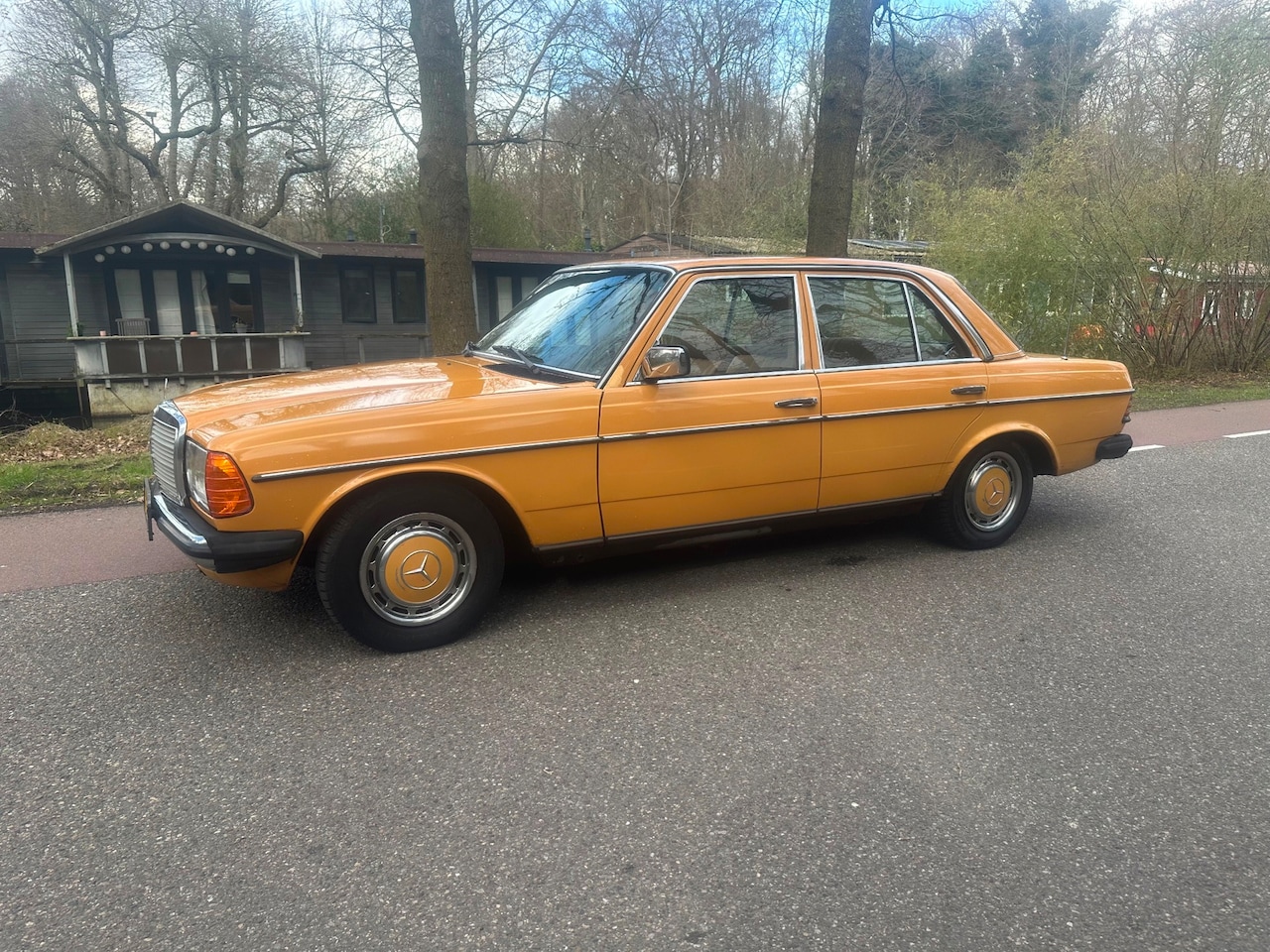 Mercedes-Benz 200-280 (W123) - 280 AUTOMAAT M110 W123 LPG - AutoWereld.nl