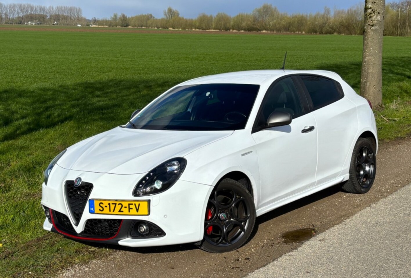 Alfa Romeo Giulietta - 1.4 Turbo 170 pk Automaat - AutoWereld.nl