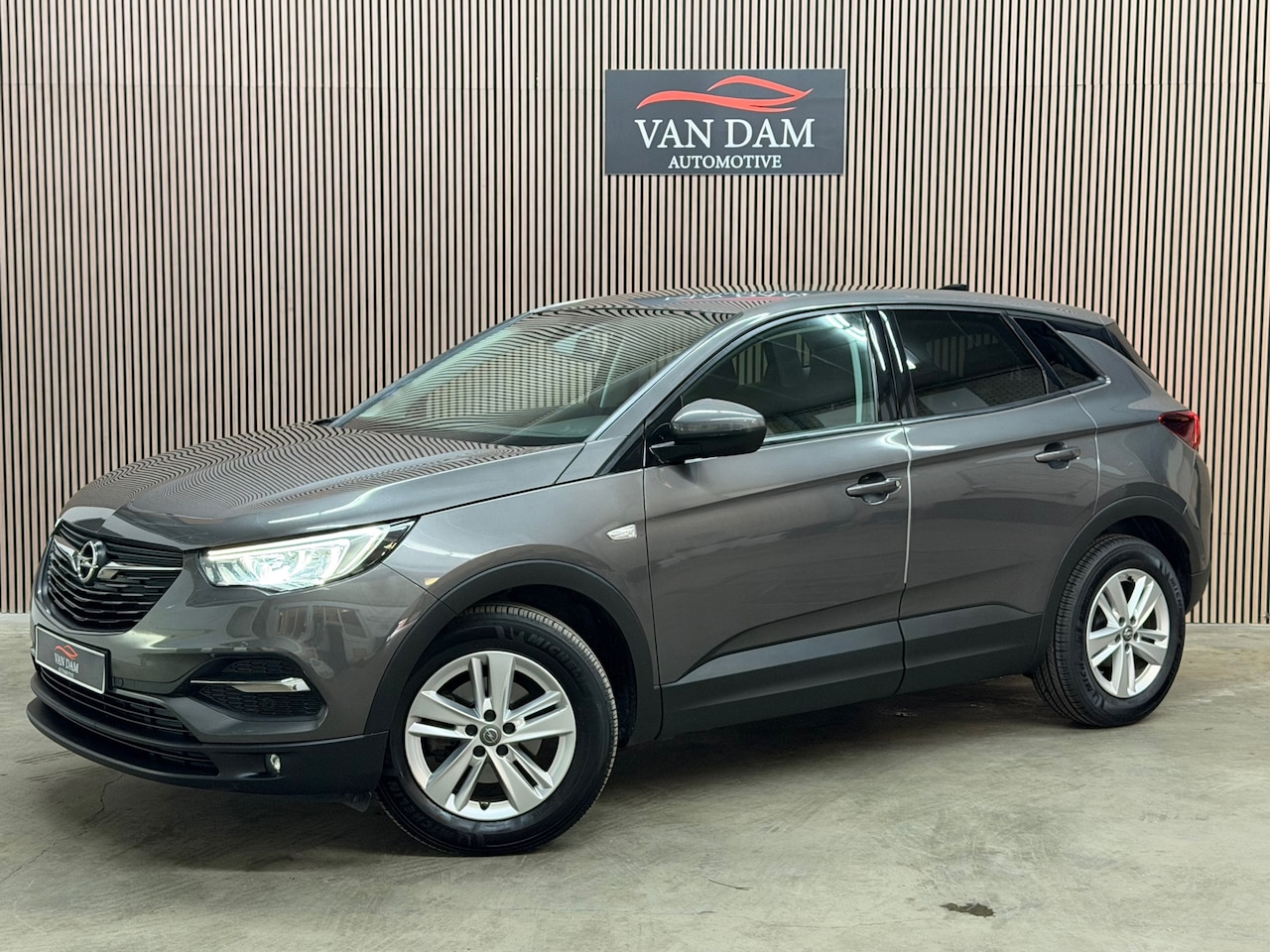 Opel Grandland X - 1.2 Turbo Business Executive 2020 LED CRUISE NAVI - AutoWereld.nl