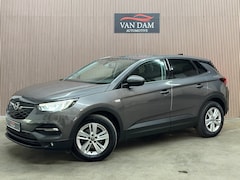 Opel Grandland X - 1.2 Turbo Business Executive 2020 LED CRUISE NAVI