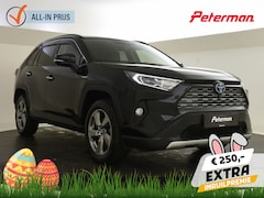 Toyota RAV4 - 2.5 Hybrid AWD Executive | Panoramadak | PDC | JBL Audio |