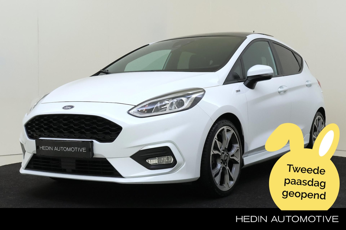 Ford Fiesta - 1.0 EcoBoost ST-Line | Panorama dak | 18 inch | Privacy Glass | Winter Pack - AutoWereld.nl