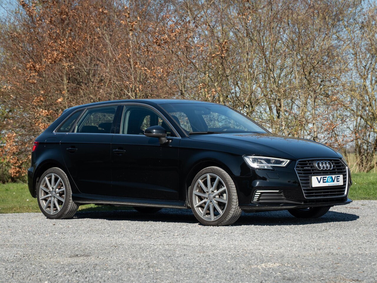 Audi A3 Sportback - 40 e-tron // leder // cruise - AutoWereld.nl