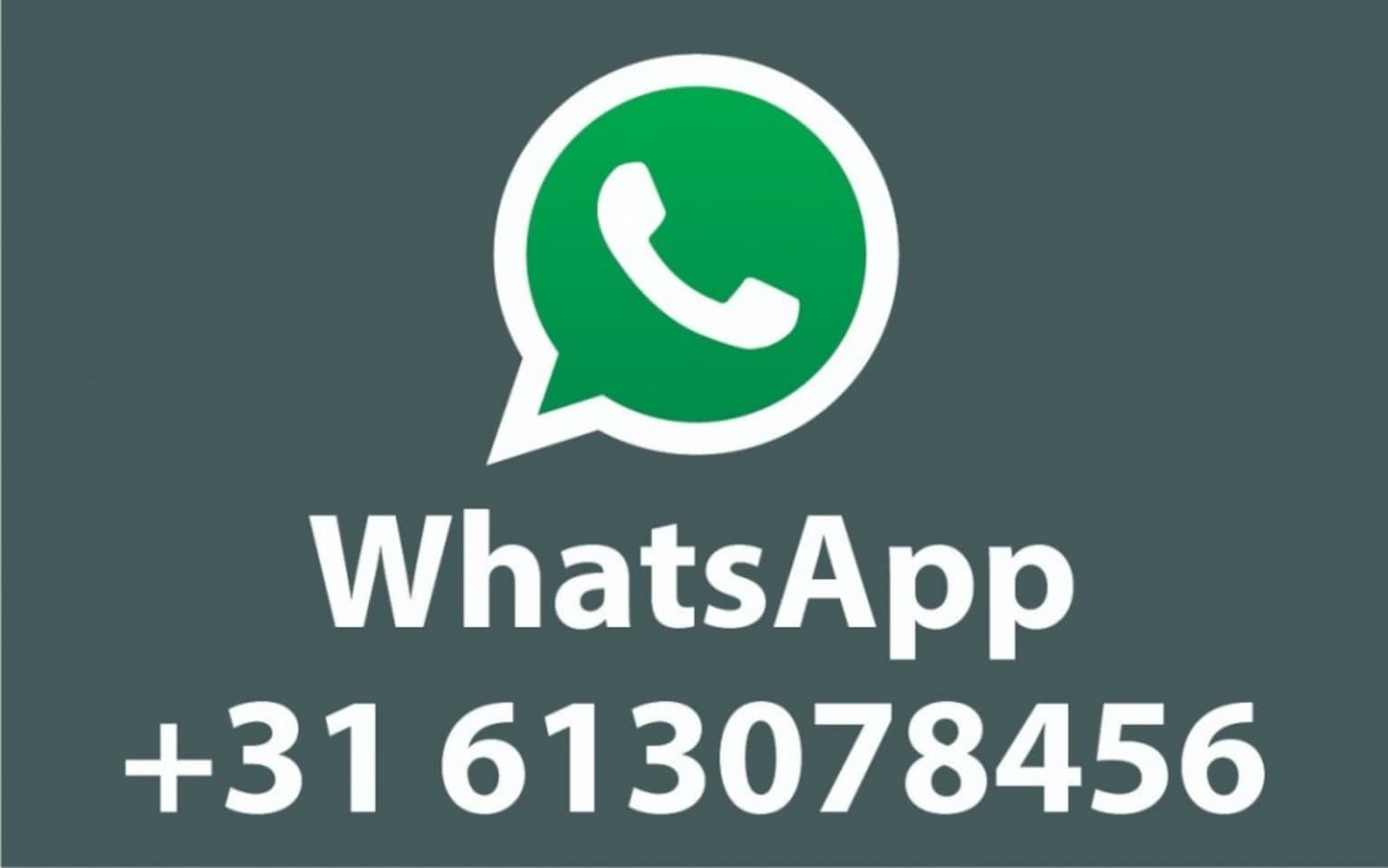 Ford Model T - 2.5 PHEV 340 L2 TITANIUM X 8p LUXURY/ERGONOMIE pack / adp. LED - AutoWereld.nl