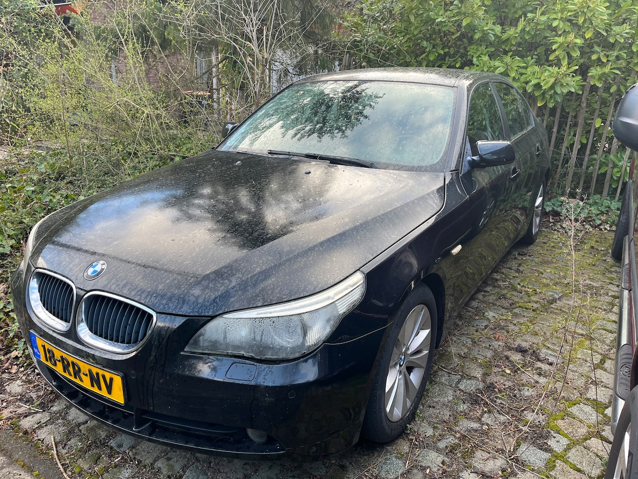 BMW 5-serie - 523i Executive - AutoWereld.nl