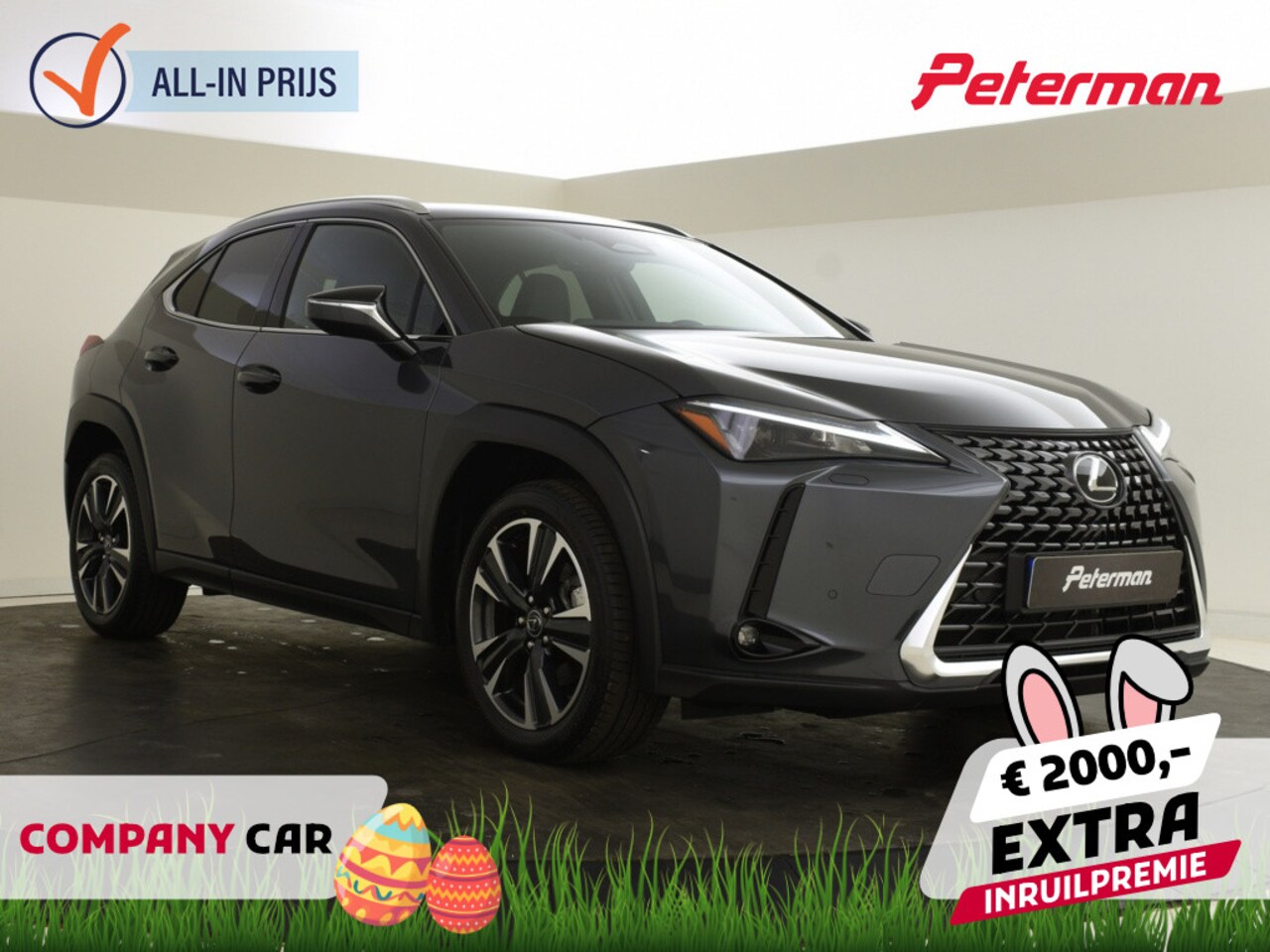 Lexus UX - 300h Business Line | Blindspot | Parkeersensoren V+A - AutoWereld.nl