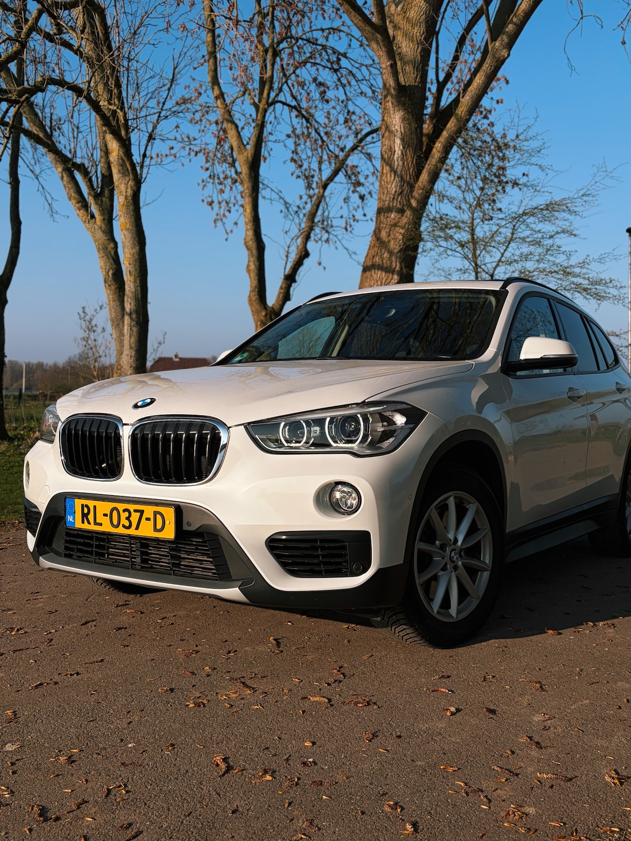 BMW X1 - 2.0i sD Corporate Lease High Executive - AutoWereld.nl