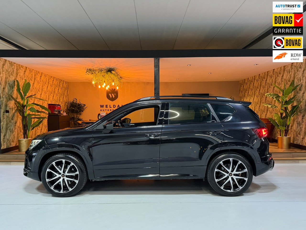 CUPRA Ateca - 2.0 TSI 4DRIVE Garantie Elek Trekhaak Carplay 360 Camera Beats Elek Achterklep Keyless ACC - AutoWereld.nl