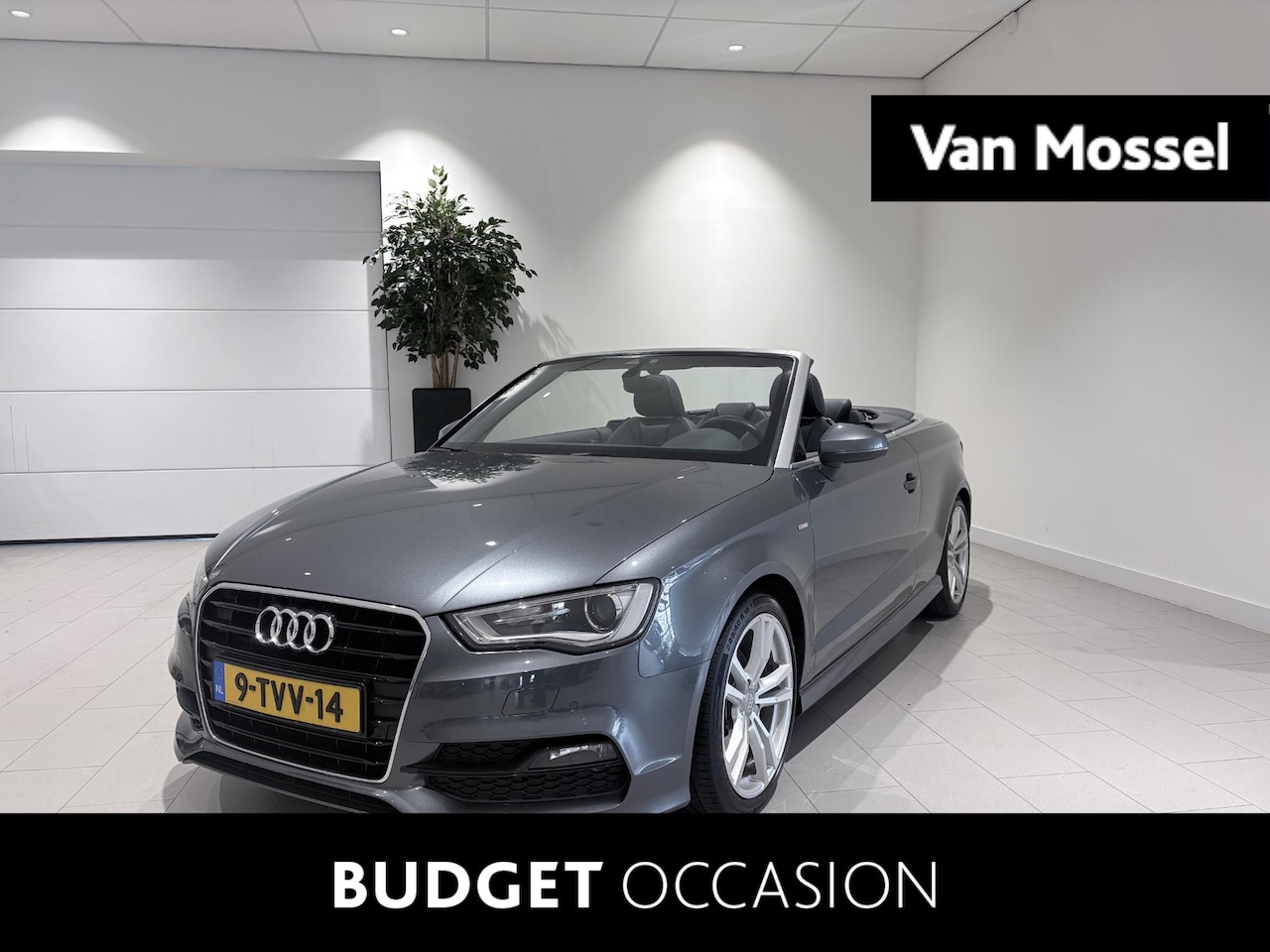 Audi A3 Cabriolet - 1.4 TFSI CoD Ambition Pro Line S 1.4 TFSI CoD Ambition Pro Line S - AutoWereld.nl